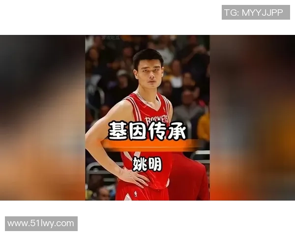 费根与姚明的传奇合作历程及其对中国篮球的深远影响